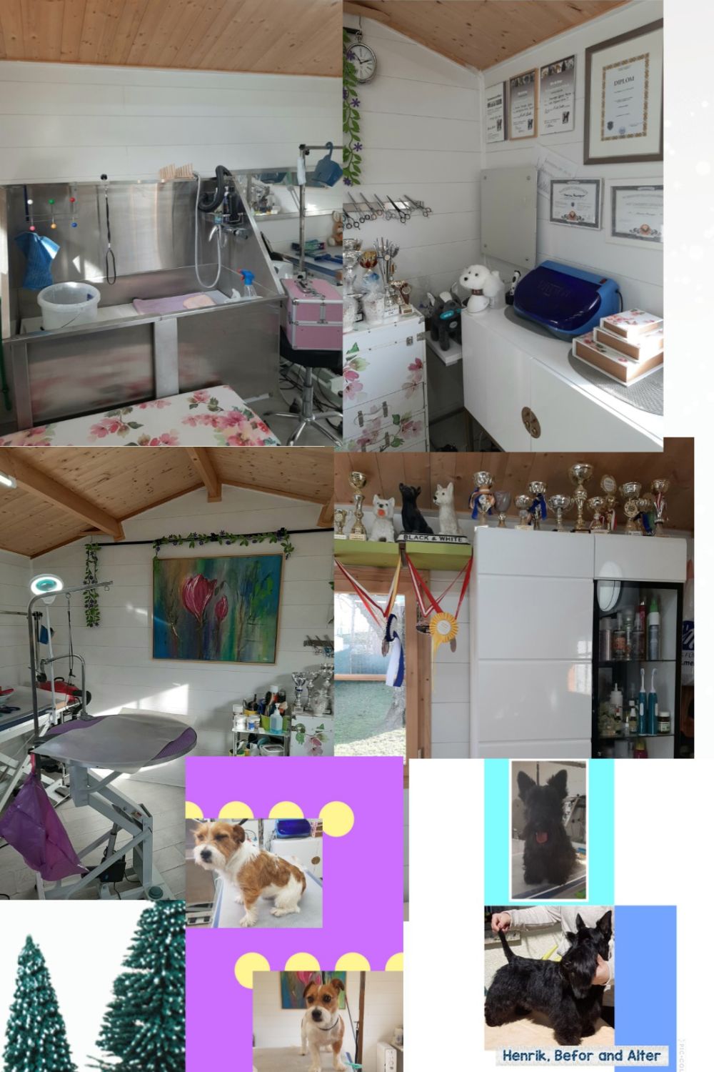 Diplomierte Hundefriseurin in Salzburg - Marina Ausweger - Hundesalon für alle Hunderassen 📞+436644546742